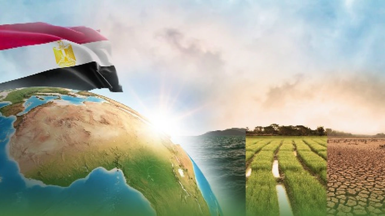 مصر وإفريقيا تعززان شراكتهما في السلام والتنمية بالقارة السمراء
